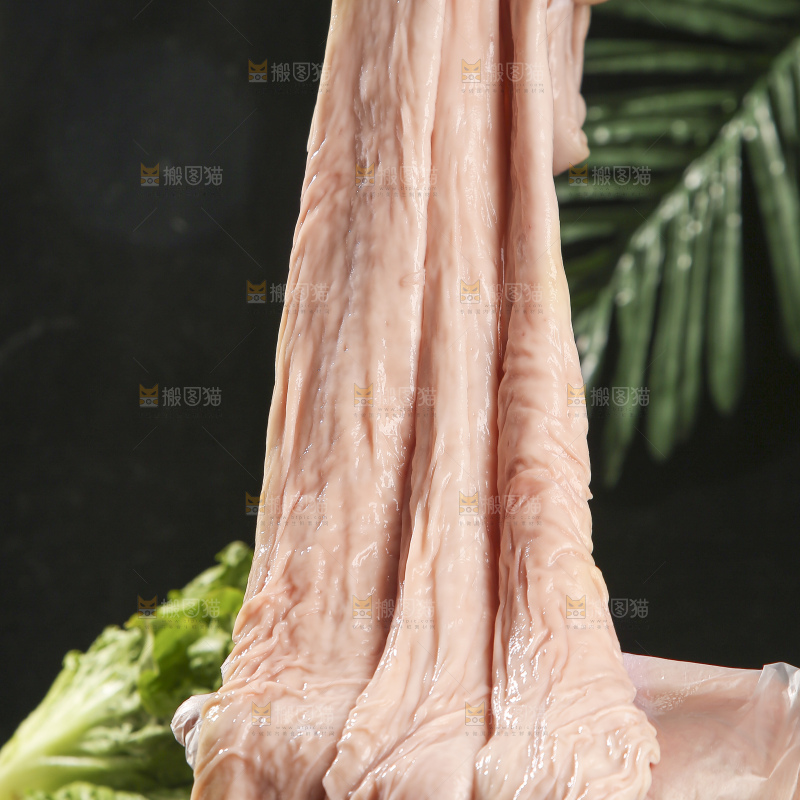 深底上的新鲜猪大肠