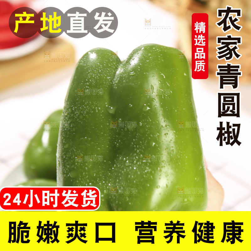 浅底上的青圆椒