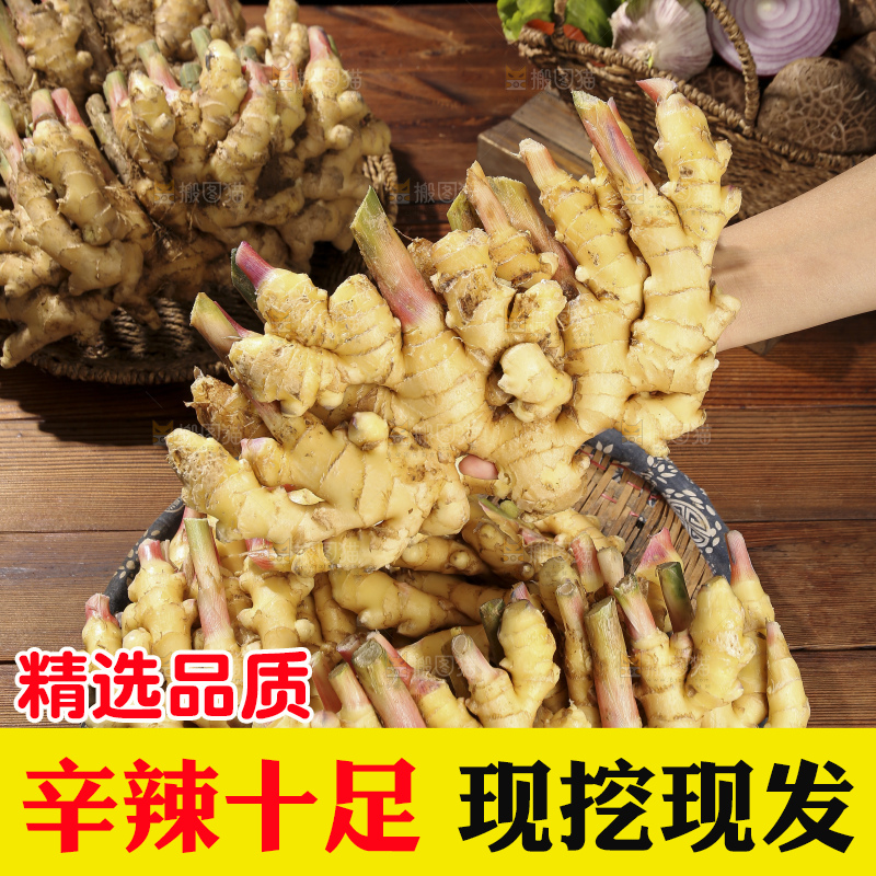 木底上的新鲜小黄姜