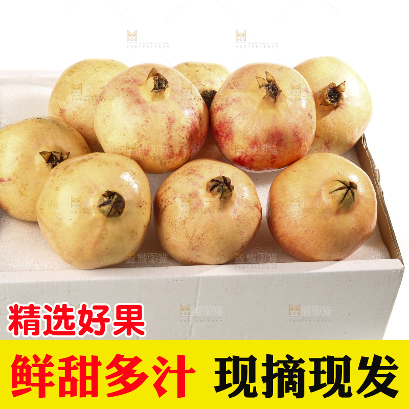 白底上的蒙自石榴