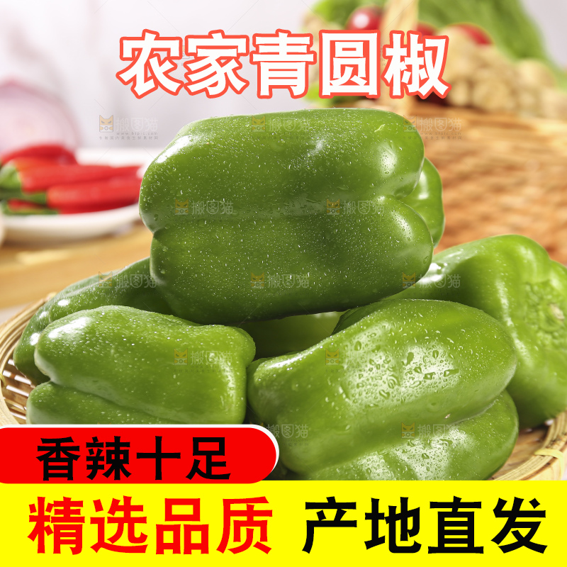浅底上的青圆椒
