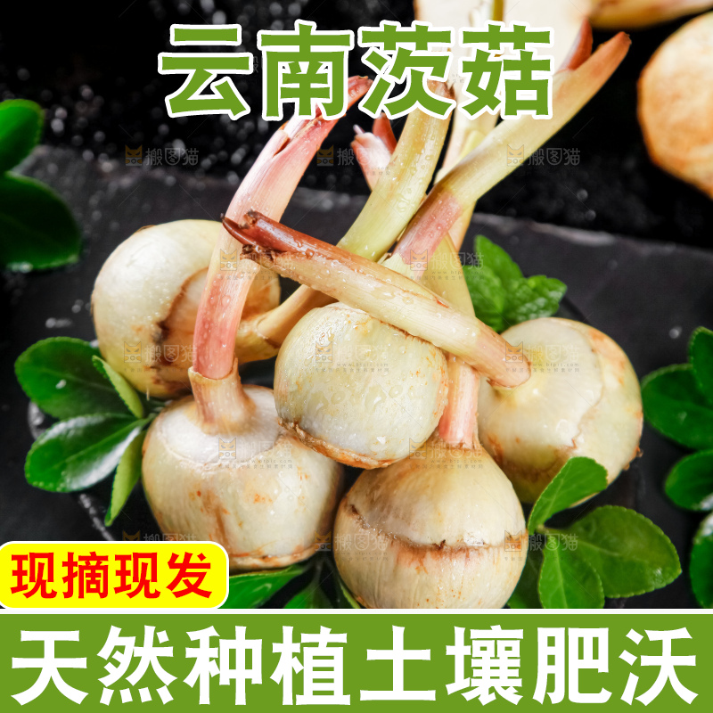 盘子里放着白茨菇