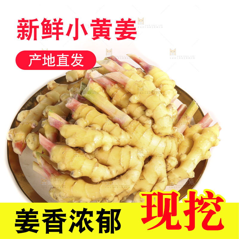 白底上的小黄姜