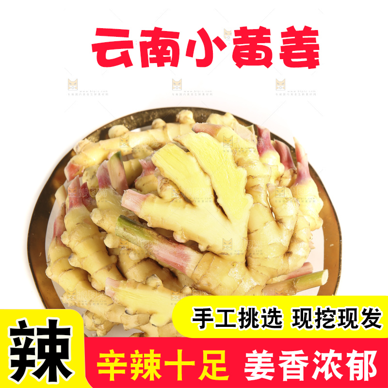 白底上的小黄姜