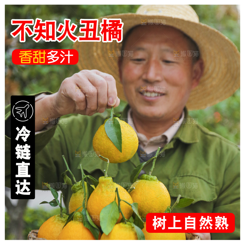 手里拿着丑八怪