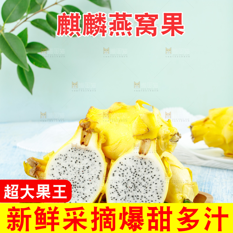 浅底上的黄皮火龙果