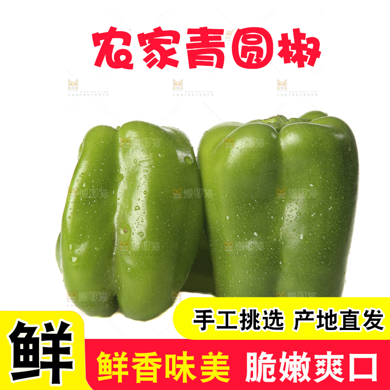 白底上的青圆椒