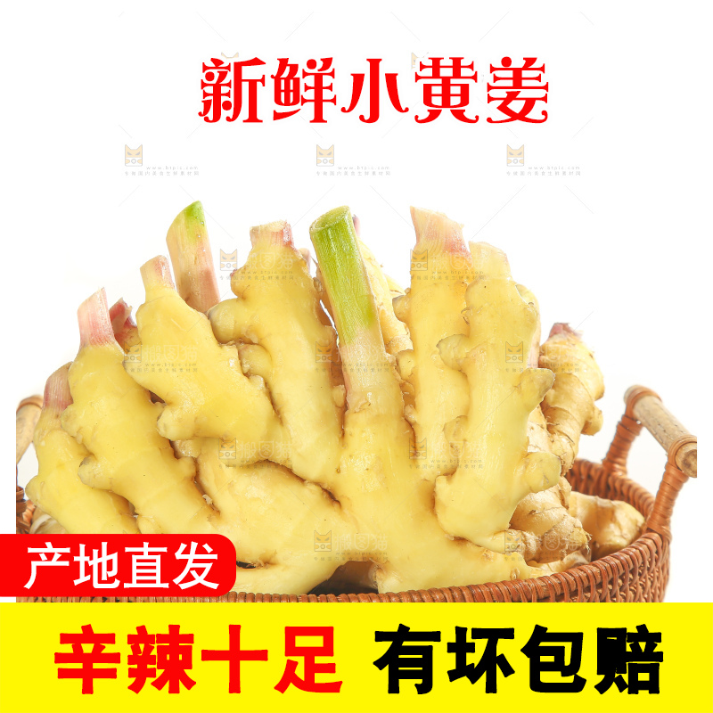 白底上的小黄姜