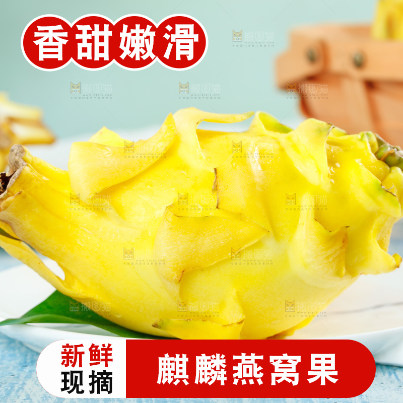 浅底上的黄皮火龙果