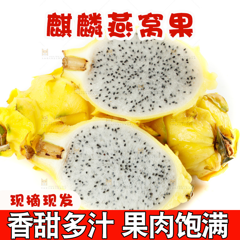 白底上的燕窝果