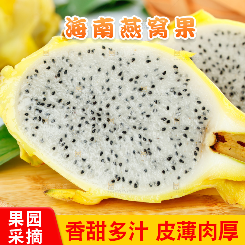 浅底上的黄皮火龙果