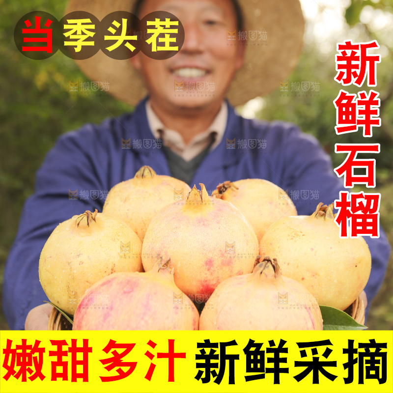 手里拿着蒙自石榴