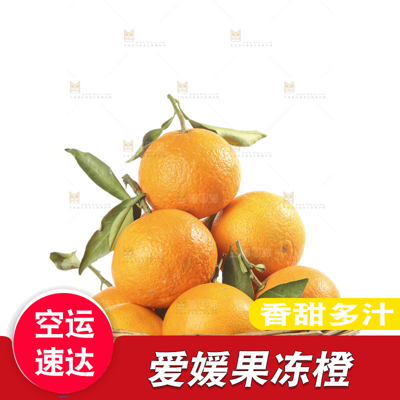 白底上的爱媛果冻橙