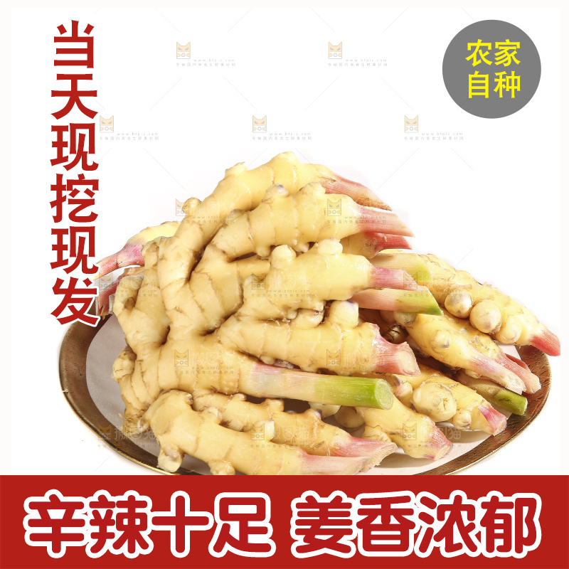 白底上的小黄姜