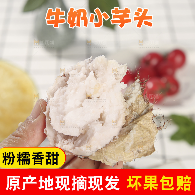 浅底上的新鲜小芋头