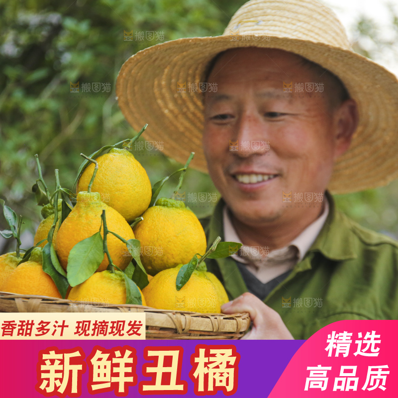手里拿着丑八怪