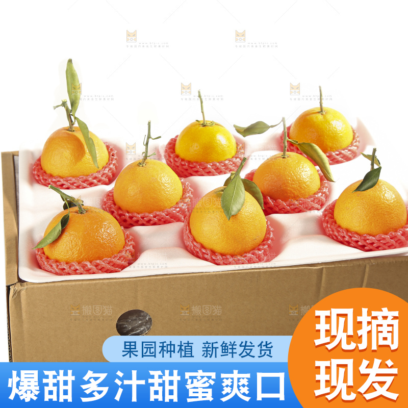 白底上的爱媛果冻橙