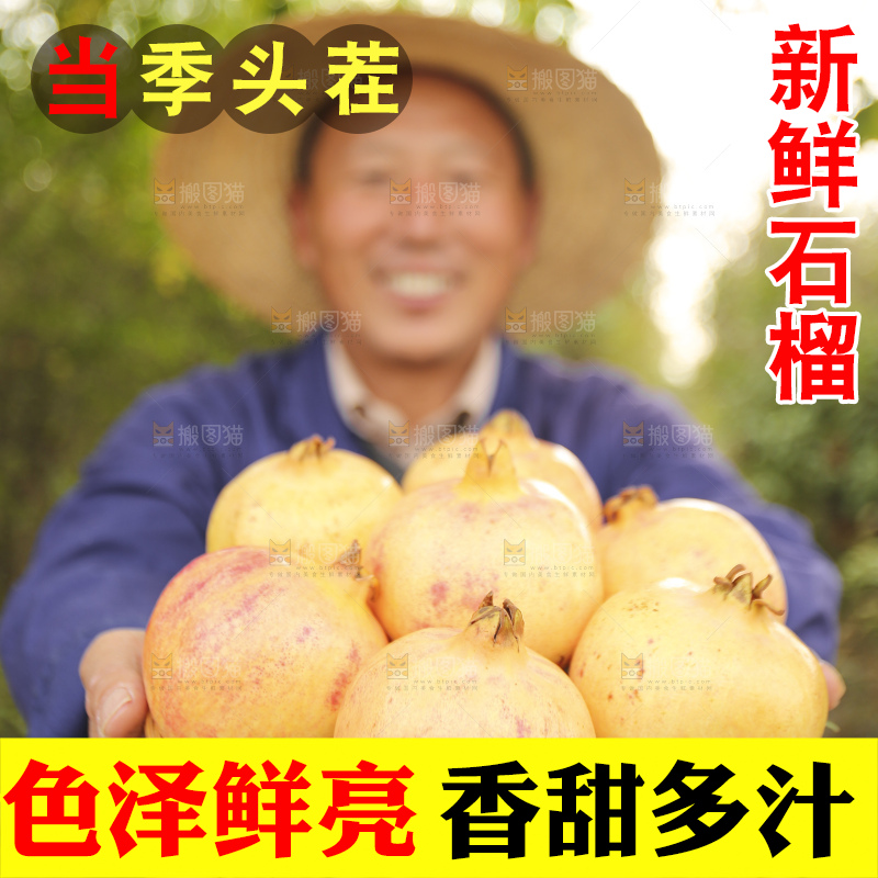 手里拿着蒙自石榴