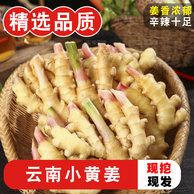 深底上的小黄姜