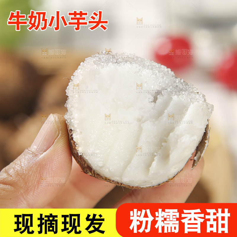 浅底上的新鲜小芋头