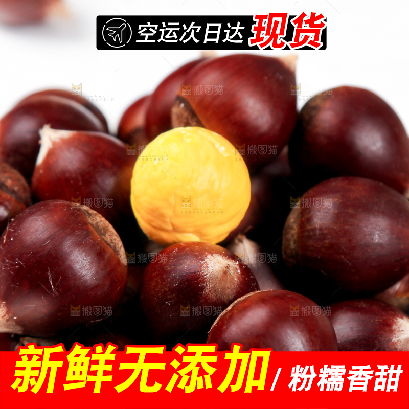 白底上放着锥栗