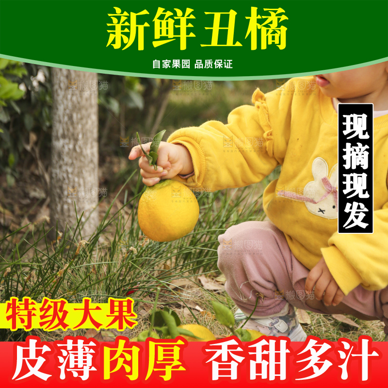 手里拿着丑八怪