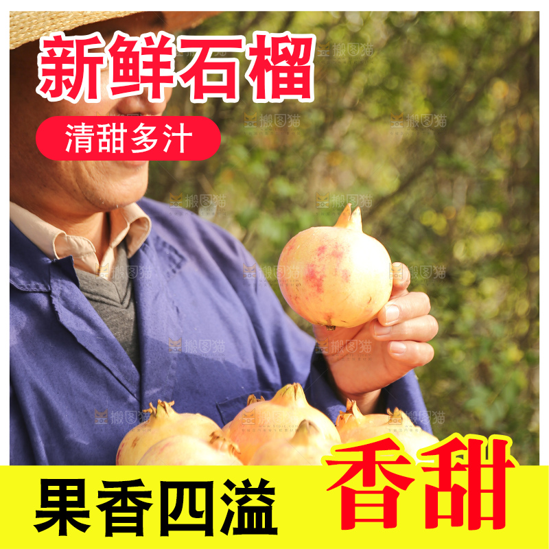 手里拿着蒙自石榴
