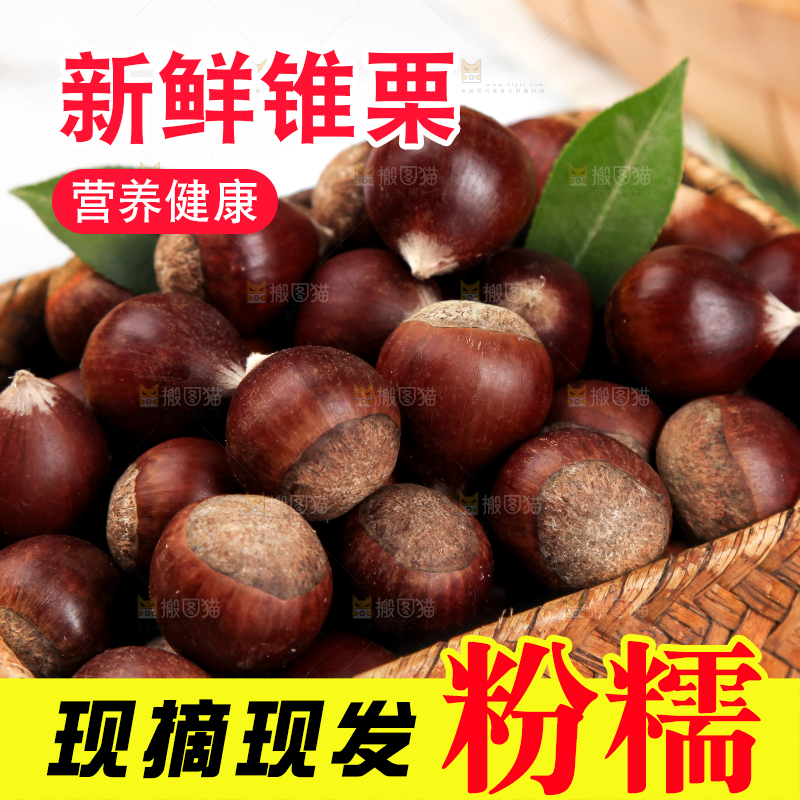 白底上放着锥栗