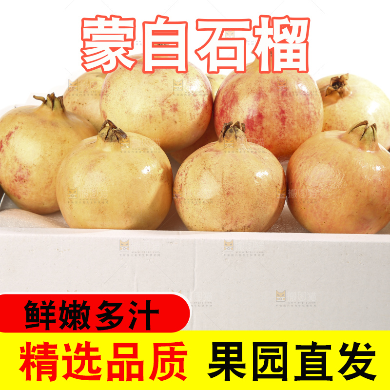 白底上的蒙自石榴