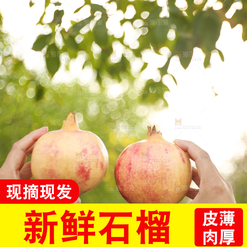 手里拿着蒙自石榴