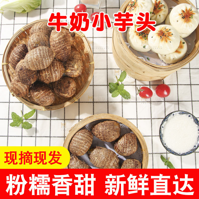 浅底上的新鲜小芋头