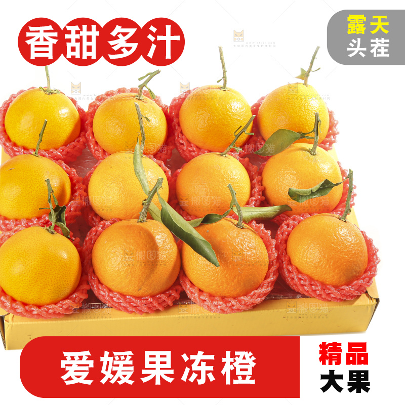 白底上的爱媛果冻橙