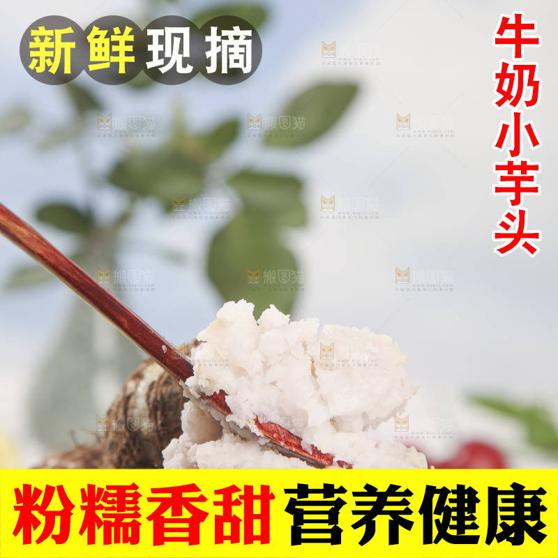 浅底上的新鲜小芋头