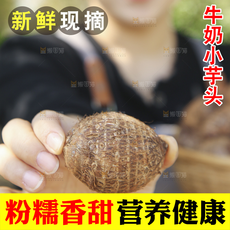 手里拿着新鲜小芋头