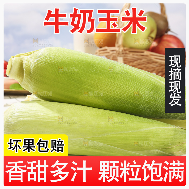 浅底上的牛奶玉米