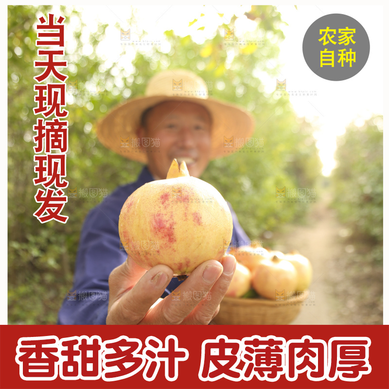 手里拿着蒙自石榴