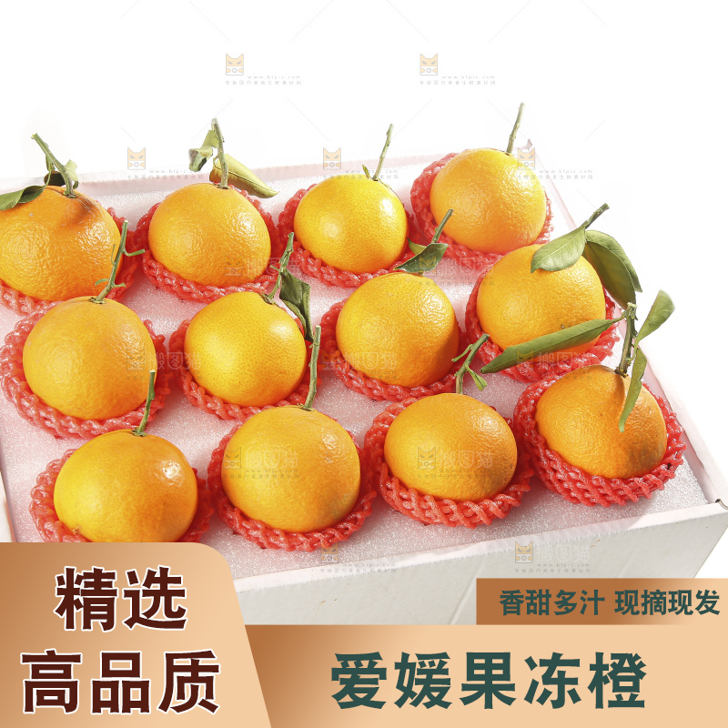 白底上的爱媛果冻橙