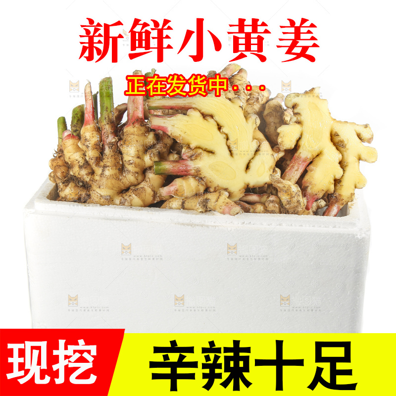 白底上的小黄姜