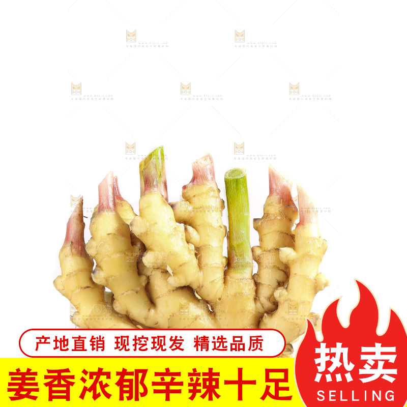 白底上的小黄姜