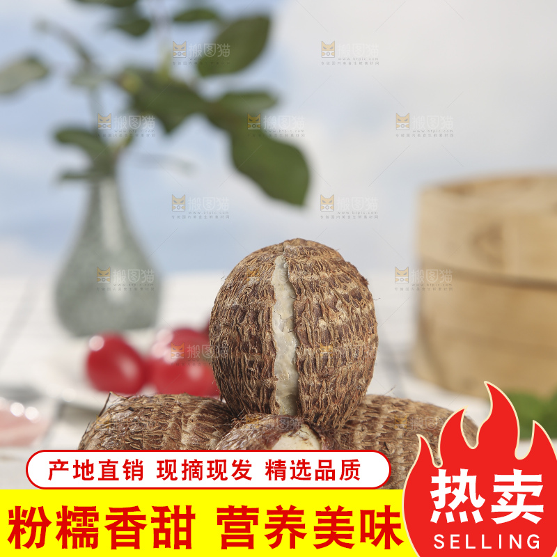 浅底上的新鲜小芋头
