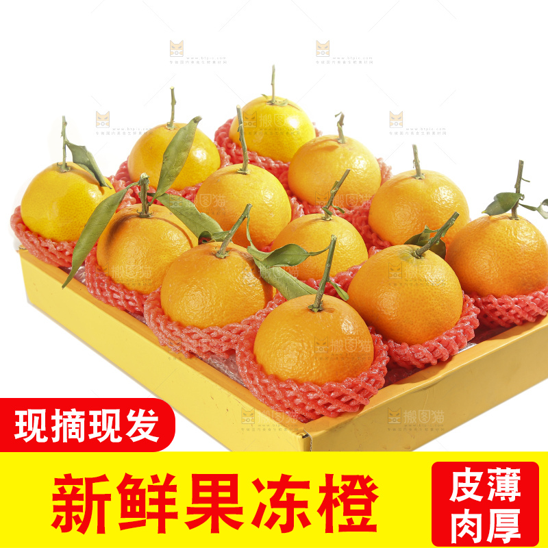 白底上的爱媛果冻橙