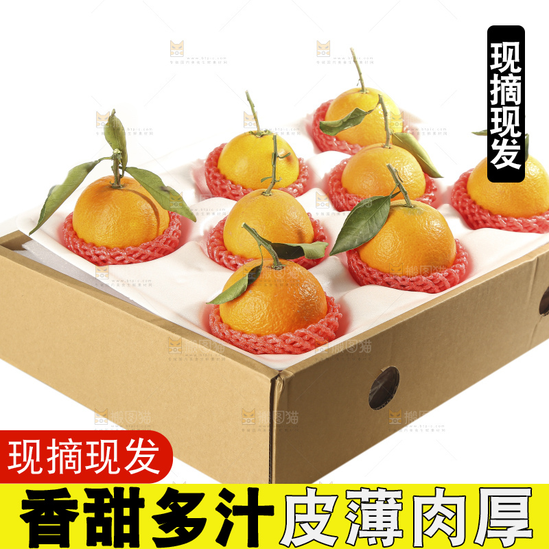 白底上的爱媛果冻橙