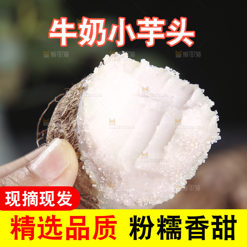深底上的新鲜小芋头