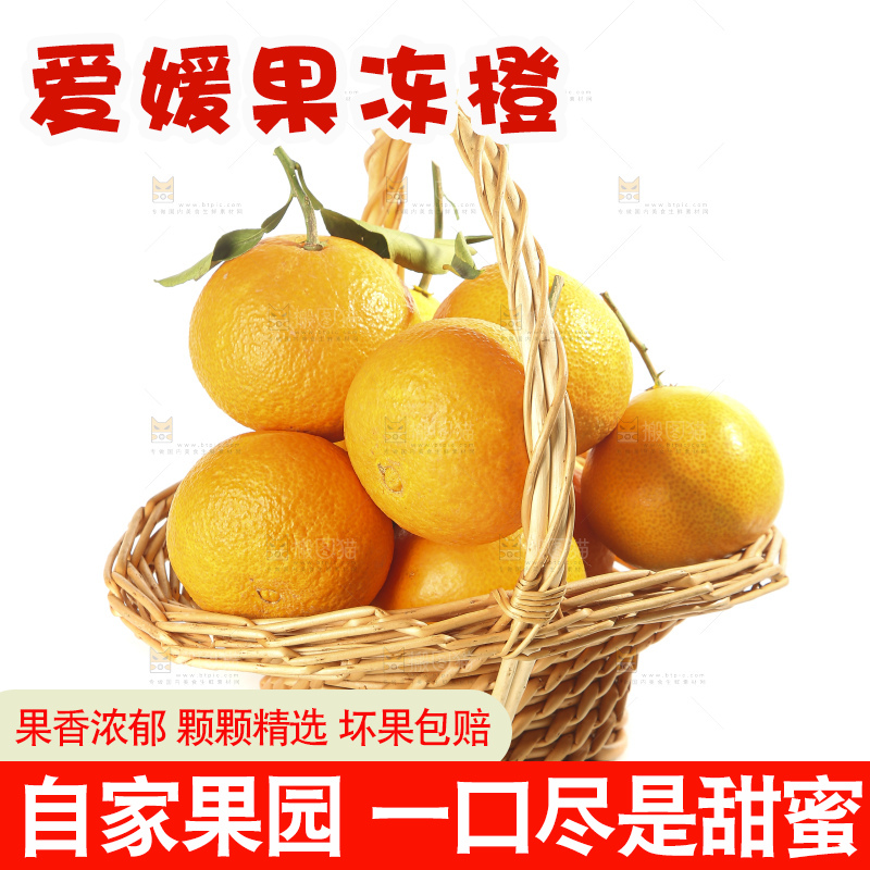 白底上的爱媛果冻橙