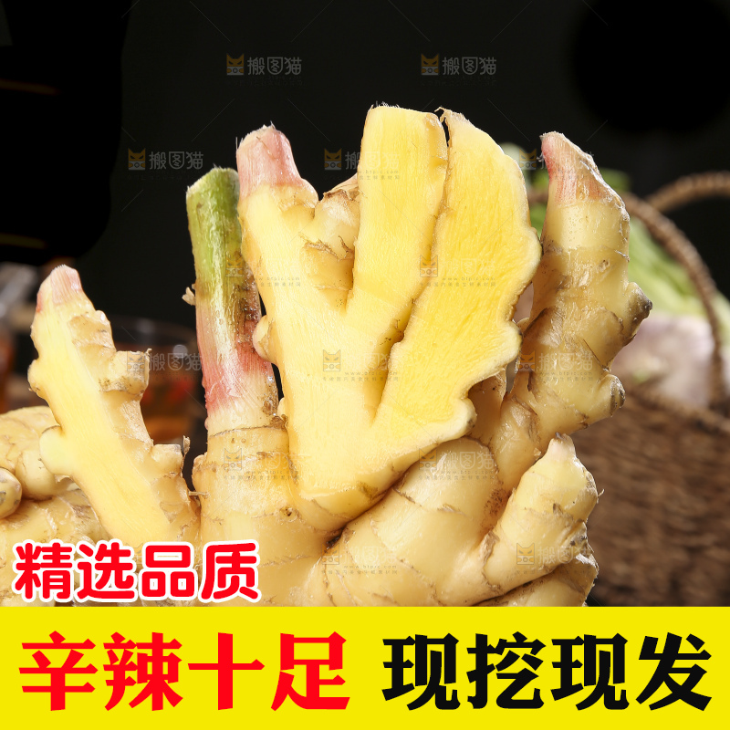 深底上的小黄姜