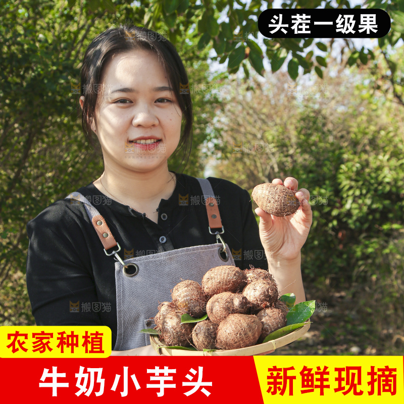 手里拿着新鲜小芋头