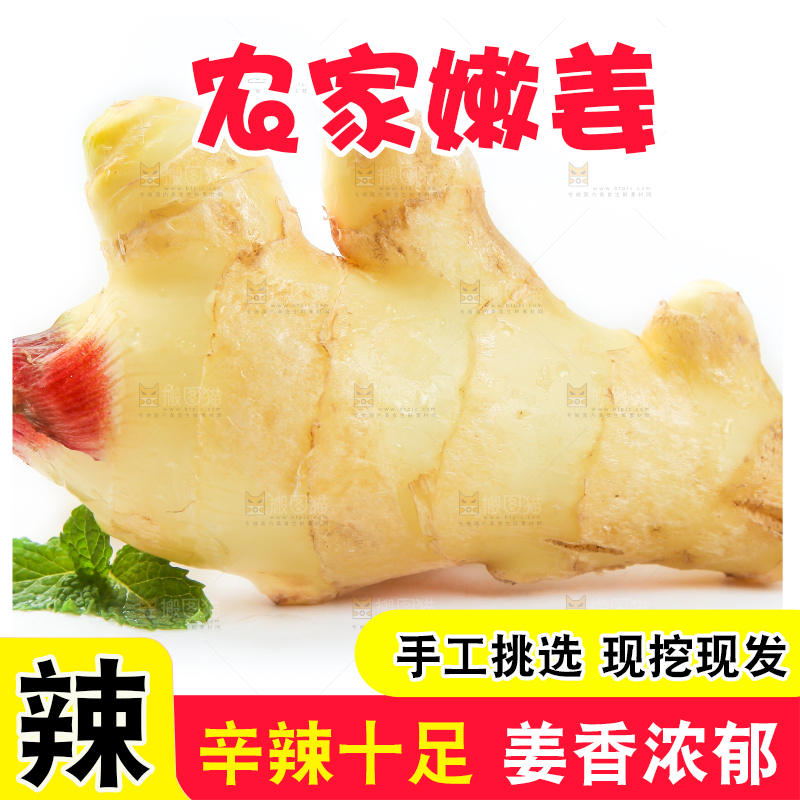 白底上摆放着生姜