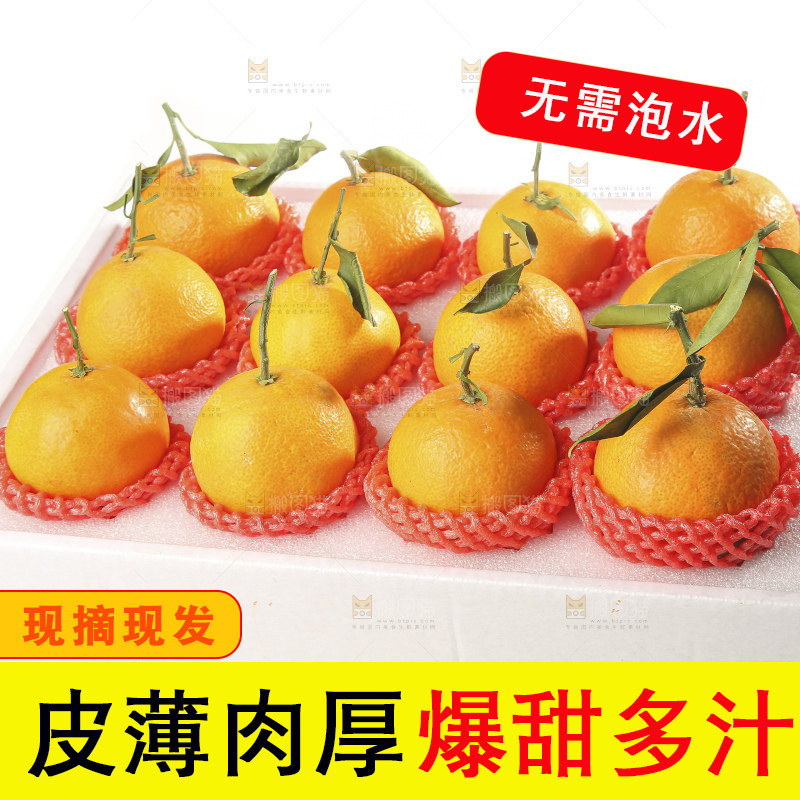 白底上的爱媛果冻橙