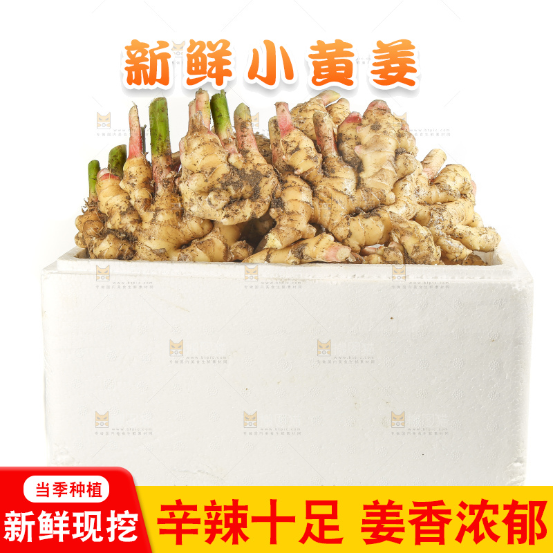 白底上的小黄姜