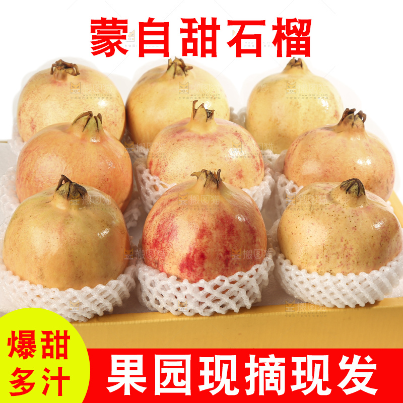 白底上的蒙自石榴